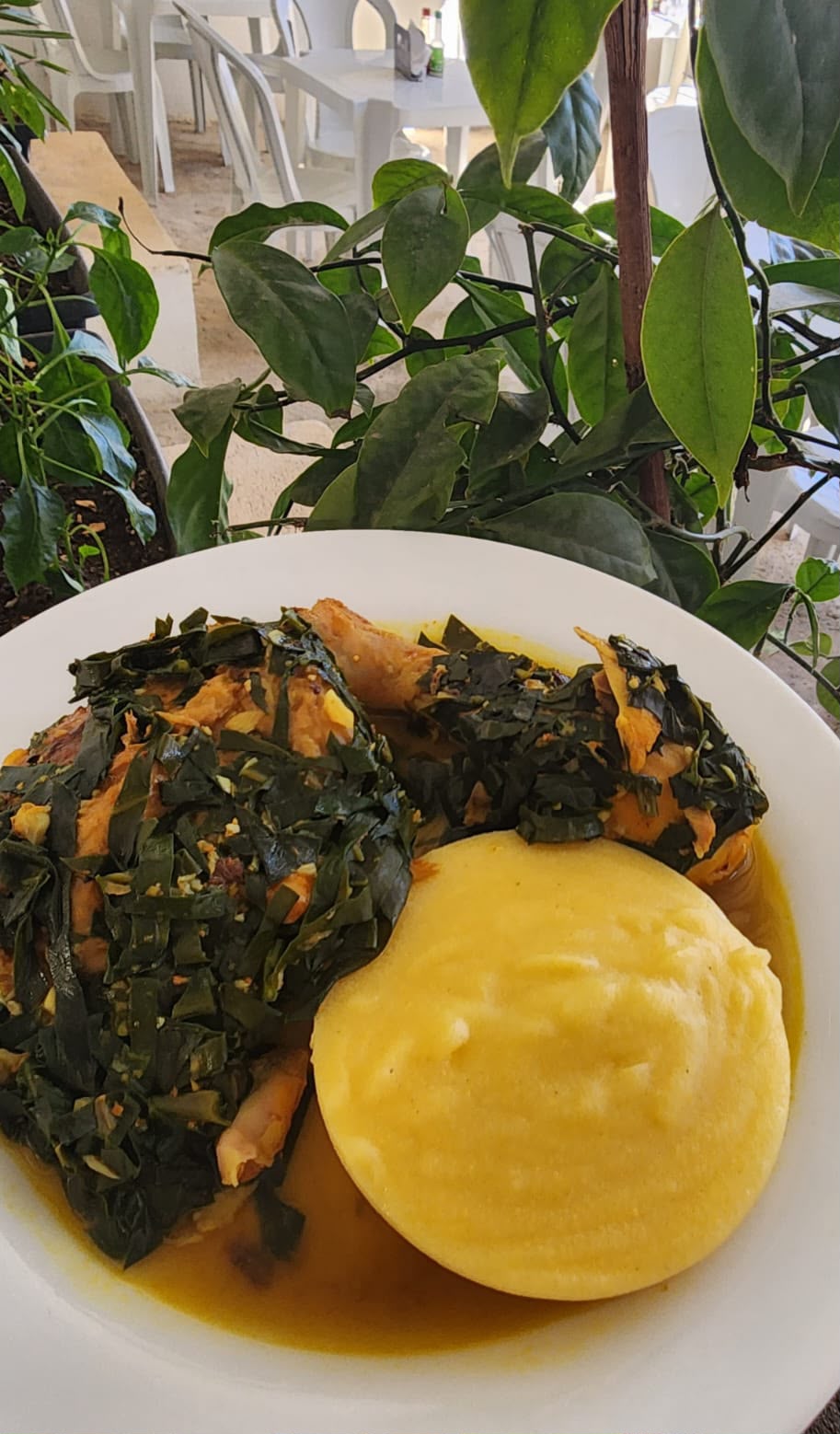 Frango com ora-pró-nobis — Saborear